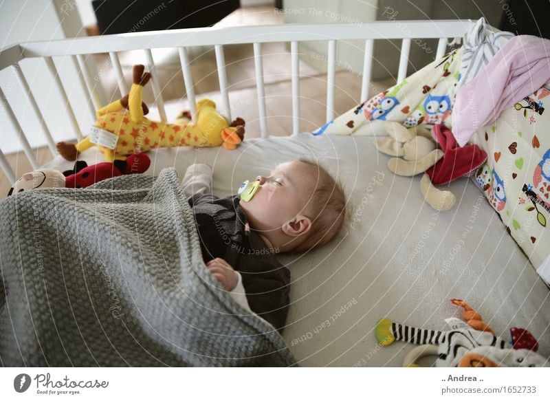 Seelenfrieden feminin Baby 1 Mensch 0-12 Monate liegen schlafen Glück Zufriedenheit ruhig ruhend Laufstall Schnuller schlafend Gute Nacht ausgeglichen