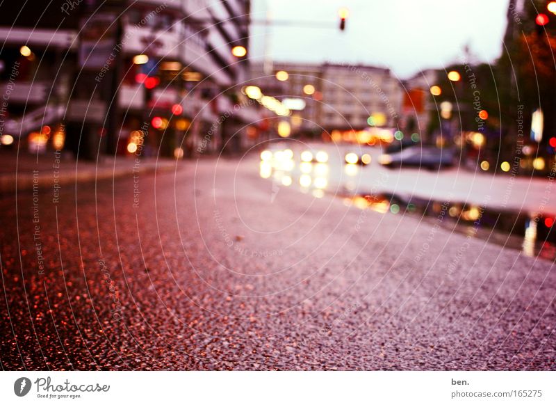 Auf der Straße Farbfoto Außenaufnahme Textfreiraum unten Dämmerung Reflexion & Spiegelung Starke Tiefenschärfe Stadt Menschenleer Haus Straßenverkehr