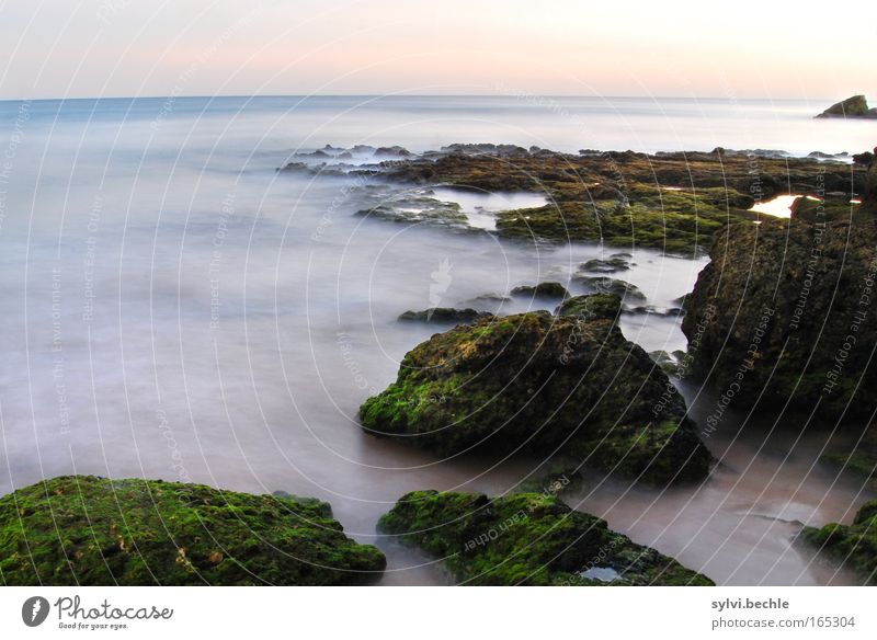 silent II Wasser Nebel Meer Atlantik frei Unendlichkeit weich blau Romantik fließen Ferne Algarve Carvoeiro Felsen Freiheit Moos Bewegung Sonnenuntergang