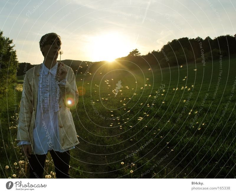 Heute wie damals Farbfoto Außenaufnahme Dämmerung Licht Lichterscheinung Sonnenlicht Sonnenstrahlen Sonnenaufgang Sonnenuntergang Gegenlicht Vorderansicht