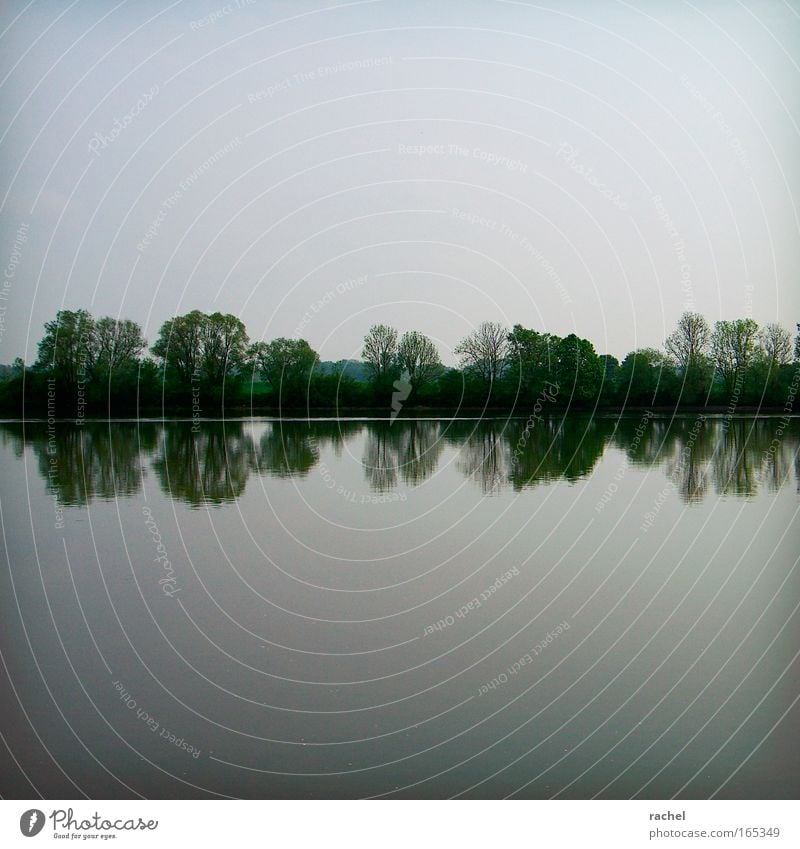 even Erholung ruhig Natur Landschaft Wasser Himmel Horizont Baum Sträucher Flussufer Donau Flußauen Gewässer Binnenschifffahrt Wasserstraße genießen