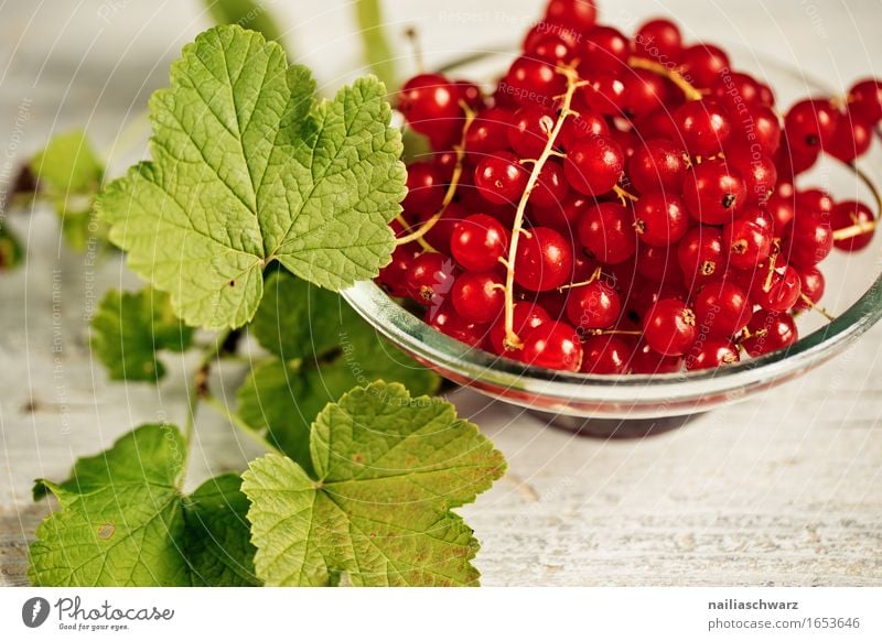 Johannisbeeren Lebensmittel Frucht Marmelade Beeren Ernährung Bioprodukte Vegetarische Ernährung Diät Fasten Teller Schalen & Schüsseln Gesundheit