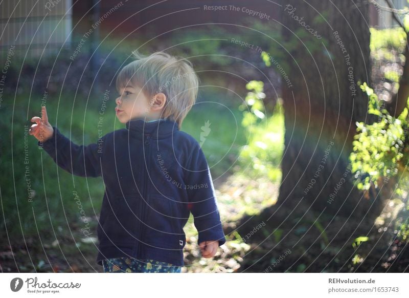 Achtung Mensch maskulin Kind Kleinkind Junge 1 1-3 Jahre Umwelt Natur Sonne Sommer Baum Garten Park Wiese beobachten Spielen klein natürlich niedlich Freude