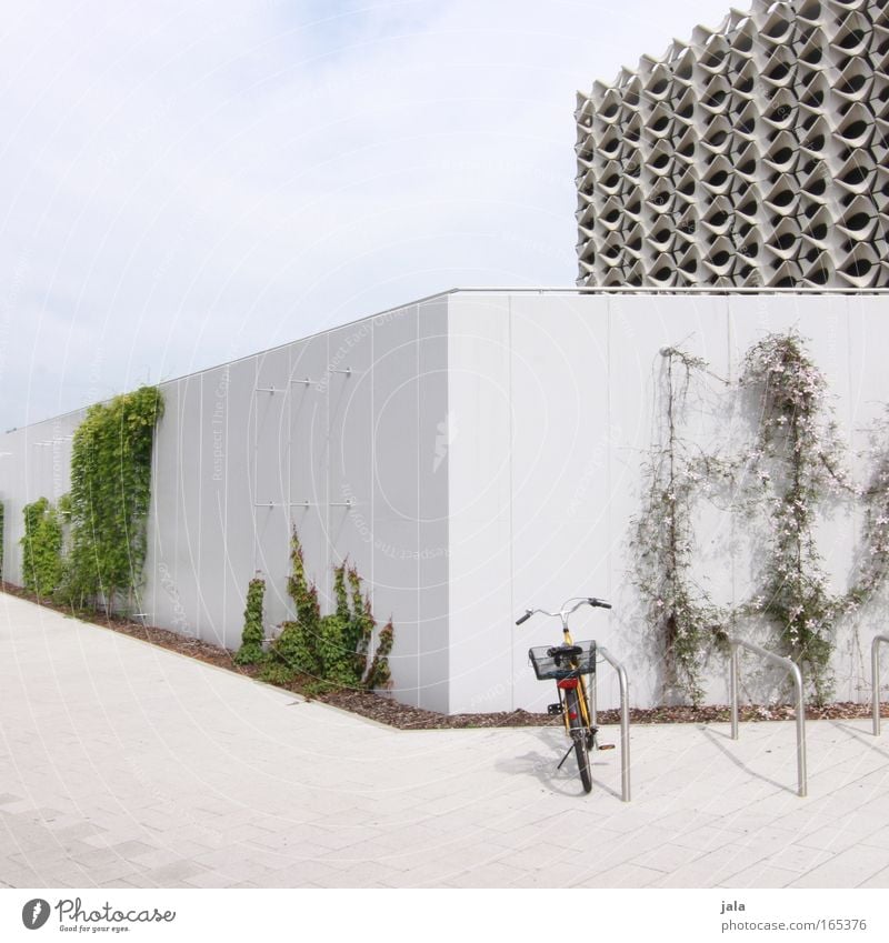 Meet me by the bike rack Farbfoto Außenaufnahme Menschenleer Tag Stadt Haus Bauwerk Gebäude Architektur Mauer Wand Wahrzeichen ästhetisch elegant frei hell grün