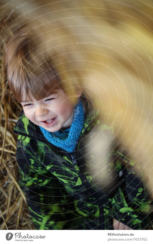 Spaß im Stroh Mensch maskulin Kind Kleinkind Junge Gesicht 1 1-3 Jahre lachen sitzen authentisch Freundlichkeit Fröhlichkeit lustig niedlich gelb gold Gefühle