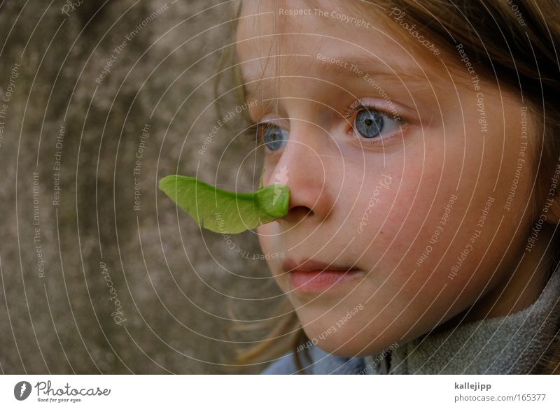 2300_ein kinderspiel Tag Spielen Mädchen Kindheit Leben Nase 1 Mensch 3-8 Jahre Umwelt Natur Pflanze Tier frisch nachhaltig natürlich Neugier niedlich grün