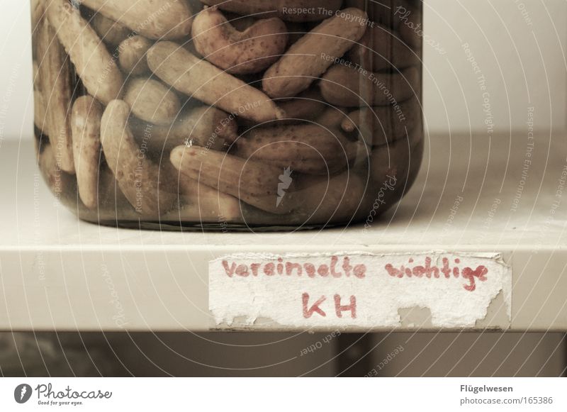 vereinzelte wichtige KH :-) Farbfoto Innenaufnahme Textfreiraum rechts Lebensmittel Gemüse Bioprodukte Vegetarische Ernährung Flasche Stil Dose Glas Metall alt