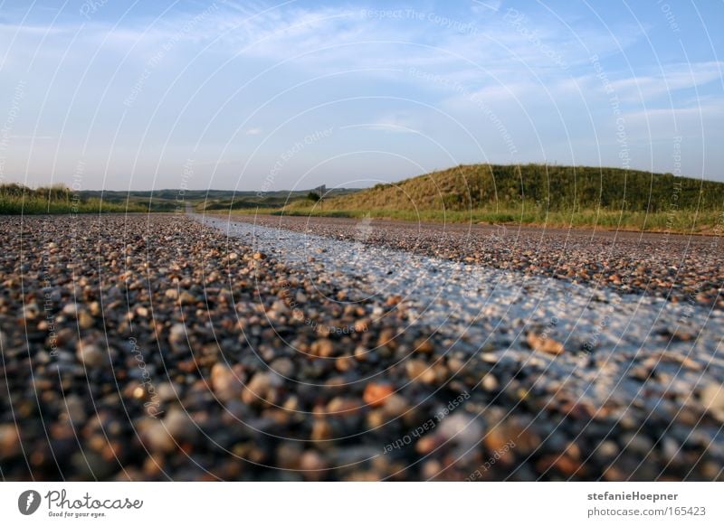 Somewhere in the middle of nowhere! Farbfoto Außenaufnahme Textfreiraum oben Textfreiraum unten Abend Froschperspektive Ausflug Ferne Freiheit Natur Himmel