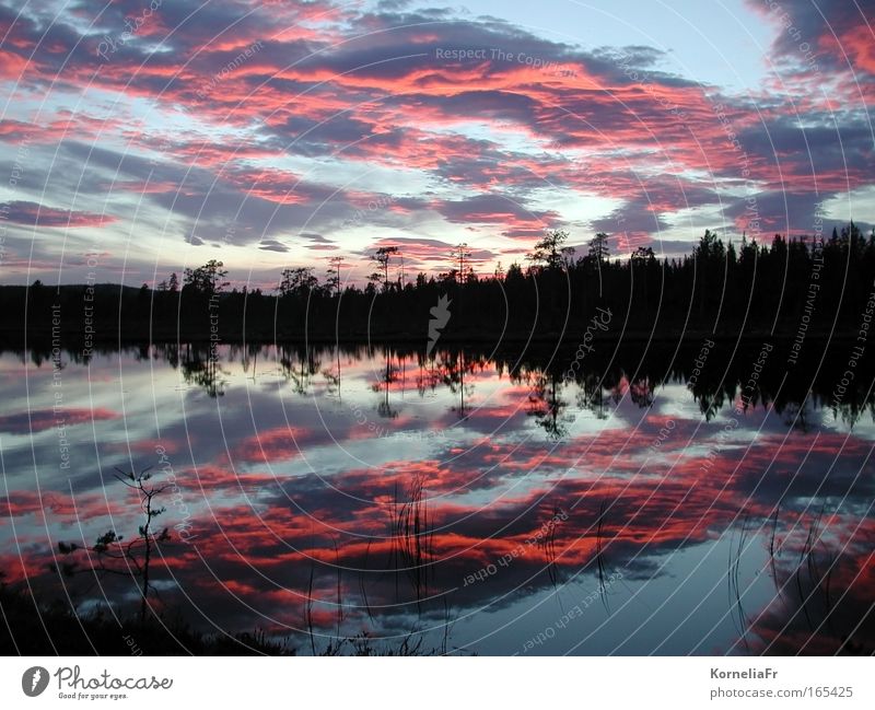 Abendwolken Farbfoto Außenaufnahme Menschenleer Textfreiraum links Textfreiraum rechts Textfreiraum oben Kontrast Reflexion & Spiegelung Sonnenaufgang