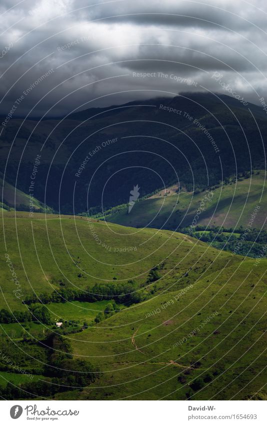 Gleich knallt's Umwelt Natur Landschaft Urelemente Erde Luft Wolken Gewitterwolken Herbst Klimawandel Wetter schlechtes Wetter Unwetter Sturm Nebel Wiese Hügel