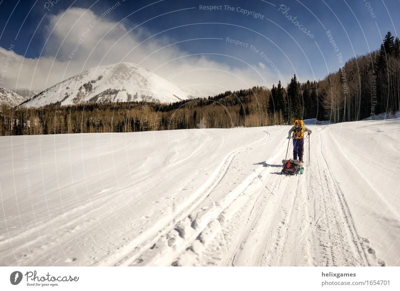 Berg Morgen Freizeit & Hobby Tourismus Abenteuer Expedition Camping Winter Schnee wandern Skifahren maskulin 1 Mensch Berge u. Gebirge Gipfel