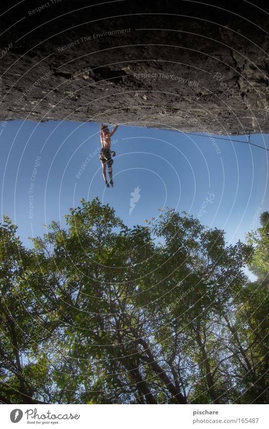 einfach mal abhängen Abenteuer Berge u. Gebirge Sport Klettern Bergsteigen Mann Erwachsene Natur Wald Felsen festhalten sportlich Coolness gigantisch muskulös