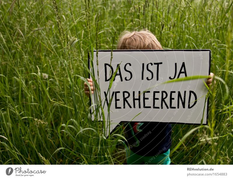 Das ist ja verheerend Mensch maskulin Kind Kleinkind Junge 1 1-3 Jahre Umwelt Natur Gras Wiese grün Angst Entsetzen gefährlich Stress Wut Ärger gereizt