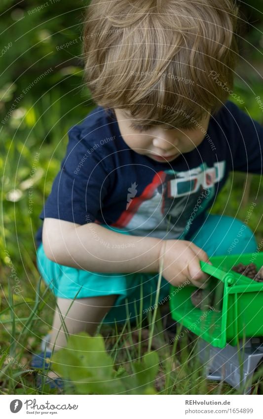 Ladung Tannenzapfen Mensch Kind Kleinkind Junge 1 1-3 Jahre Umwelt Natur Wiese Feld Wald hocken Spielen klein natürlich niedlich grün Freude Glück Zufriedenheit