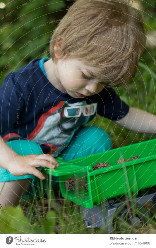 Spielen im Wald Mensch maskulin Kind Kleinkind Junge Kindheit 1 1-3 Jahre Umwelt Natur Landschaft Baum Gras T-Shirt authentisch Glück klein Neugier niedlich