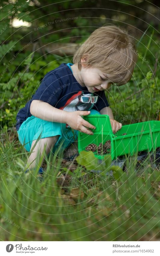 kipplaster Mensch maskulin Kind Kleinkind Junge 1 1-3 Jahre Umwelt Natur Pflanze Sommer Wald Spielen klein Neugier grün Freude Glück Begeisterung Leidenschaft