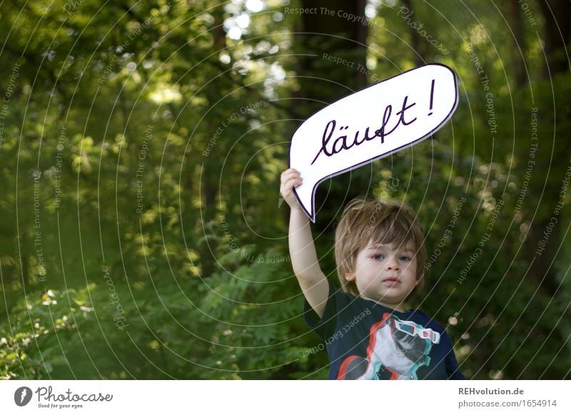 läuft im Wald Mensch maskulin Kind Kleinkind Junge 1 1-3 Jahre Umwelt Natur Sommer Schönes Wetter Denken sprechen Erfolg frech klein natürlich positiv grün