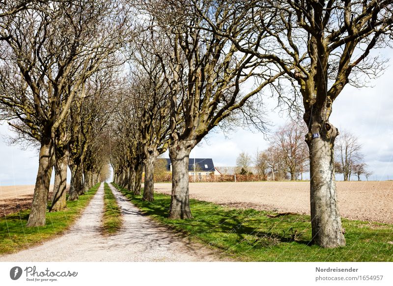 Landleben Haus Traumhaus Garten Landschaft Schönes Wetter Baum Gras Wiese Feld Dorf Stadtrand Straße Wege & Pfade Häusliches Leben Freundlichkeit Erfolg