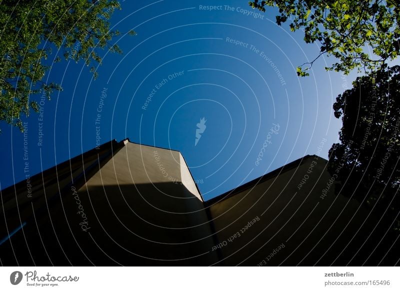 Hinterhof abends hinterhaus Haus Stadthaus Wand Mauer Brandmauer Fenster Baum Ast Himmel Blauer Himmel himmelblau Schönes Wetter Wolkenloser Himmel