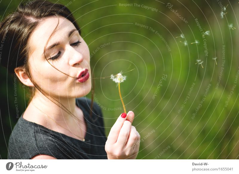 junge Frau mit Pusteblume pusten Sommer sommerlich hübsch Pflanze Löwenzahn Natur Blume Frühling Außenaufnahme Farbfoto Nahaufnahme Samen Wiese Umwelt