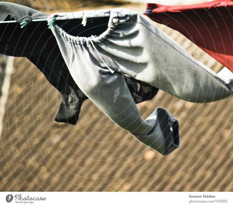 The flying Jogginghose Farbfoto mehrfarbig Außenaufnahme Textfreiraum links Textfreiraum unten Stil schön Ferien & Urlaub & Reisen Ausflug Freiheit Insel Wellen