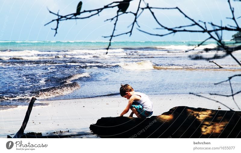 wenn träume fliegen lernen Ferien & Urlaub & Reisen Tourismus Ausflug Abenteuer Ferne Freiheit Junge Kindheit Natur Landschaft Himmel Sommer Wellen Küste Strand