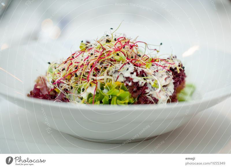 Vorspeise Salat Salatbeilage Ernährung Mittagessen Abendessen Festessen Diät frisch Gesundheit Farbfoto Innenaufnahme Nahaufnahme Detailaufnahme Menschenleer