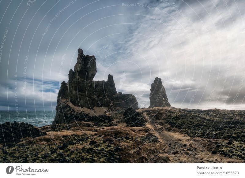 Borgarnes schön Leben Ferien & Urlaub & Reisen Abenteuer Strand Meer Insel Wellen Umwelt Natur Landschaft Tier Erde Himmel Wolken Klima Klimawandel Wetter