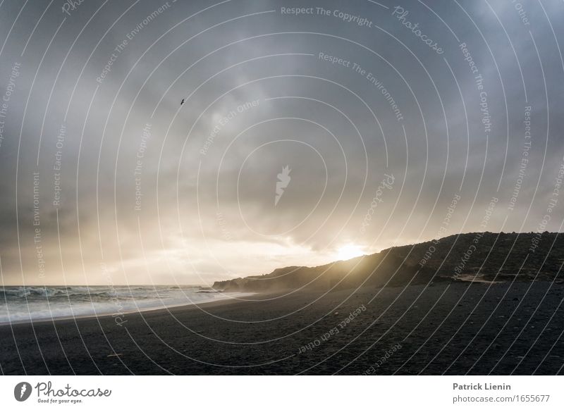 Djúpalónssandur schön Leben Ferien & Urlaub & Reisen Abenteuer Sonne Strand Meer Insel Wellen Umwelt Natur Landschaft Erde Himmel Wolken Klima Klimawandel