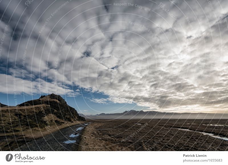 Morning at Reynisfjara Beach Leben Ferien & Urlaub & Reisen Abenteuer Strand Meer Insel Umwelt Natur Landschaft Urelemente Erde Luft Himmel Wolken Horizont