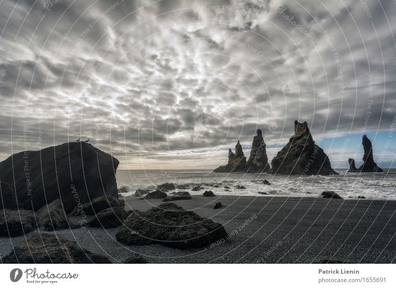 Reynisfjara schön Leben Ferien & Urlaub & Reisen Abenteuer Strand Meer Insel Wellen Umwelt Natur Landschaft Urelemente Erde Sand Himmel Wolken Klima Klimawandel