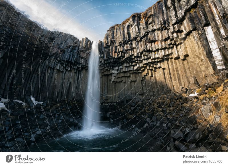 Svartifoss schön Leben Zufriedenheit Sinnesorgane Erholung ruhig Meditation Ferien & Urlaub & Reisen Abenteuer Insel Umwelt Natur Landschaft Urelemente Wasser