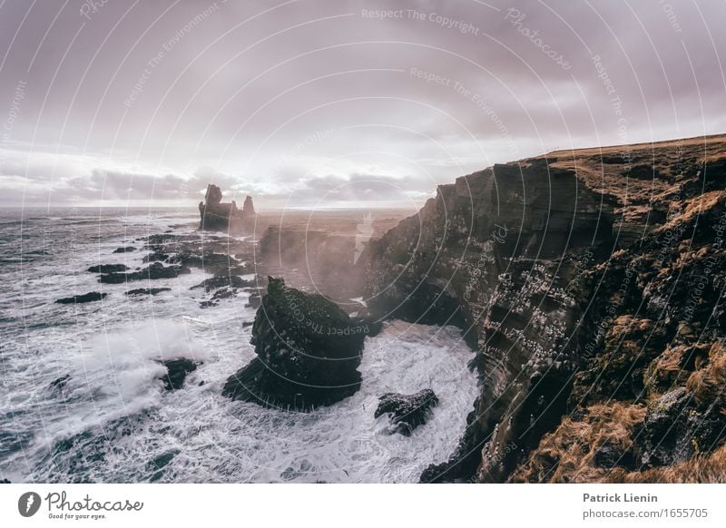 Snæfellsnes schön Leben Ferien & Urlaub & Reisen Abenteuer Strand Meer Insel Wellen Umwelt Natur Landschaft Tier Erde Himmel Wolken Klima Klimawandel Wetter