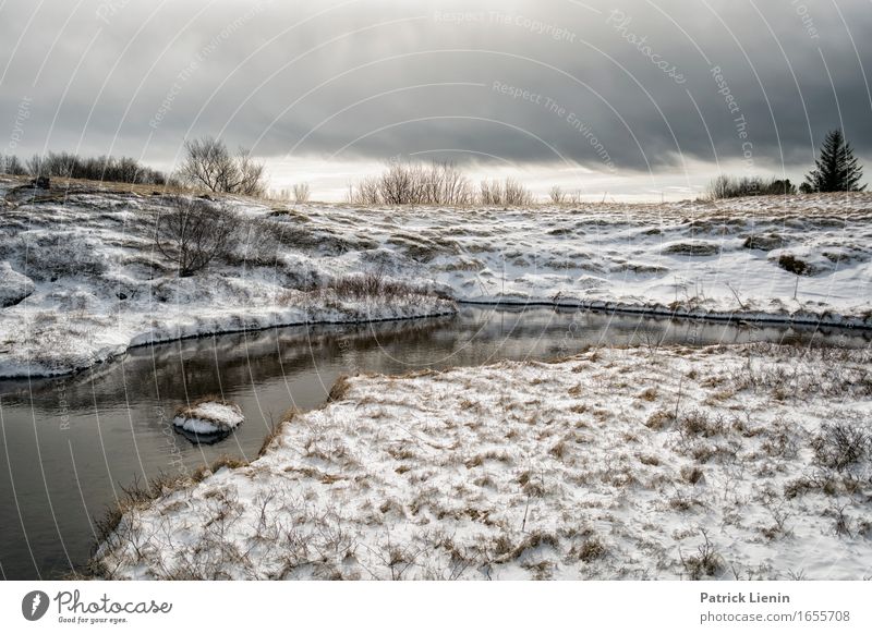 Pingvellir schön Leben Ferien & Urlaub & Reisen Tourismus Ausflug Abenteuer Insel Winter Schnee Umwelt Natur Landschaft Urelemente Erde Himmel Klima Wetter