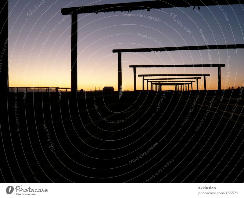 Abendtraum Farbfoto Außenaufnahme Menschenleer Dämmerung Glück Leben harmonisch Wohlgefühl Zufriedenheit Erholung ruhig Freiheit Natur Landschaft Himmel