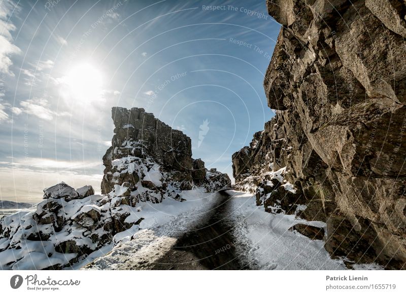 Pingvellir Leben Wohlgefühl Zufriedenheit Sinnesorgane Erholung ruhig Ferien & Urlaub & Reisen Tourismus Abenteuer Ferne Freiheit Sonne Insel Winter Schnee