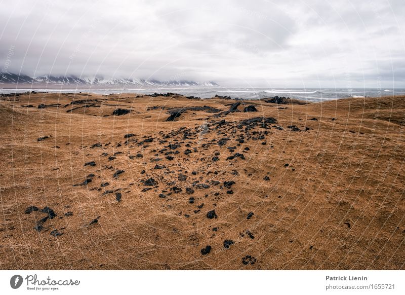 Snaefellsnes Penninsula Leben Ferien & Urlaub & Reisen Abenteuer Strand Meer Insel Winter Schnee Berge u. Gebirge Umwelt Natur Landschaft Urelemente Erde Sand