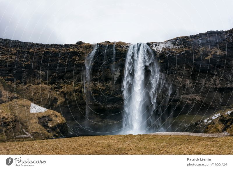 Seljalandsfoss schön Leben harmonisch Wohlgefühl Zufriedenheit Sinnesorgane Erholung Ferien & Urlaub & Reisen Tourismus Abenteuer Insel Umwelt Natur Landschaft