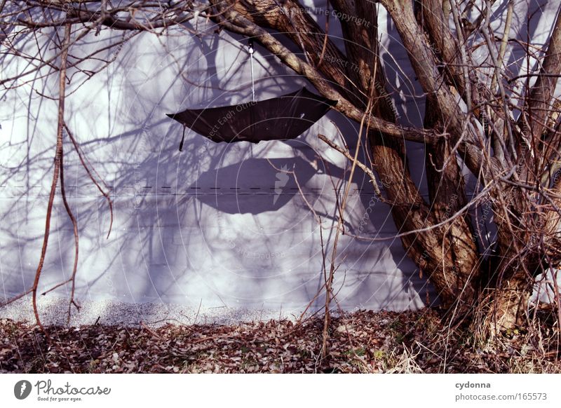 Regenfänger Farbfoto Außenaufnahme Menschenleer Textfreiraum links Textfreiraum unten Tag Schatten Sonnenlicht Zentralperspektive Baum Mauer Wand Zeichen