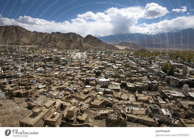 Leh City von oben Indien Asien Stadt Hauptstadt Skyline Haus Gebäude Architektur friedlich ruhig Abenteuer Farbfoto Außenaufnahme Luftaufnahme Muster