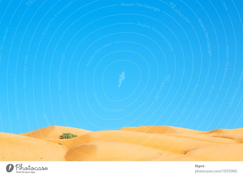 in oman alter wüste rub al khali schön Ferien & Urlaub & Reisen Tourismus Abenteuer Safari Sommer Sonne Natur Landschaft Sand Himmel Horizont Park Hügel Felsen