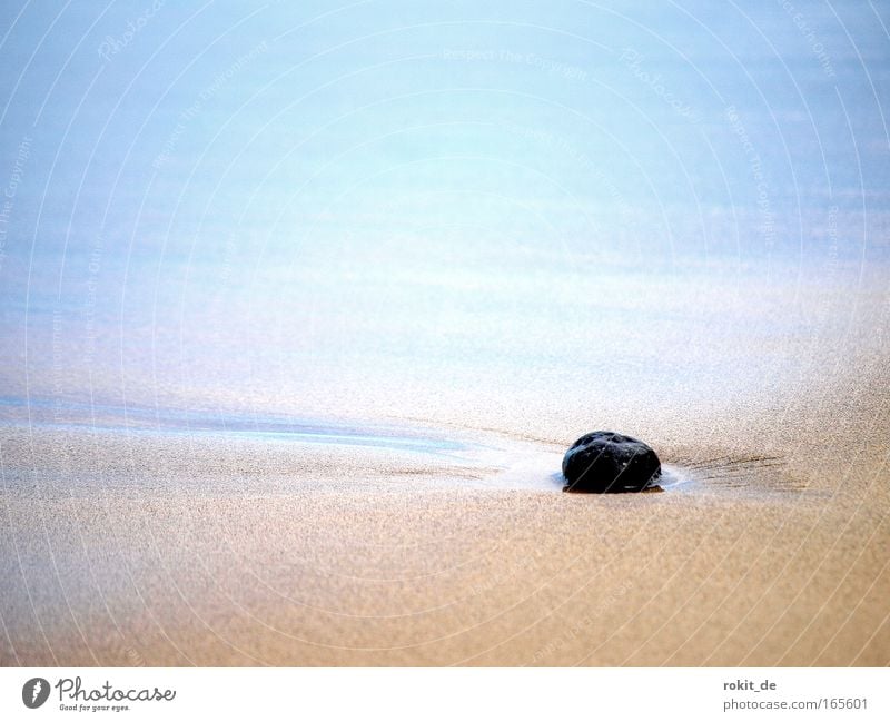 Vergessen Gedeckte Farben Außenaufnahme Sonnenlicht Starke Tiefenschärfe Froschperspektive Erholung ruhig Ferien & Urlaub & Reisen Umwelt Natur Wasser