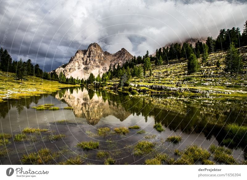 Alm in den Dolomiten Ferien & Urlaub & Reisen Tourismus Ausflug Abenteuer Ferne Freiheit wandern Umwelt Natur Landschaft Pflanze Tier Sommer schlechtes Wetter