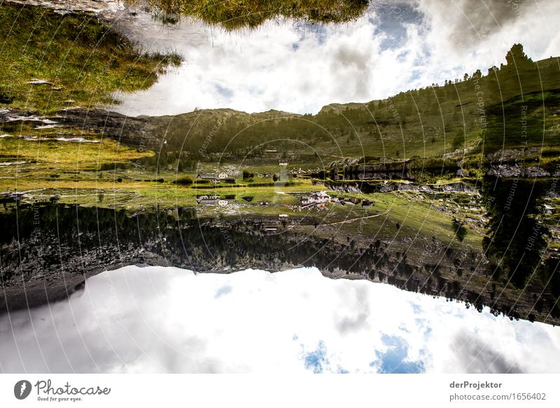 Und die Welt steht Kopf *1250* Ferien & Urlaub & Reisen Tourismus Ausflug Abenteuer Ferne Freiheit Berge u. Gebirge wandern Umwelt Natur Landschaft Pflanze Tier