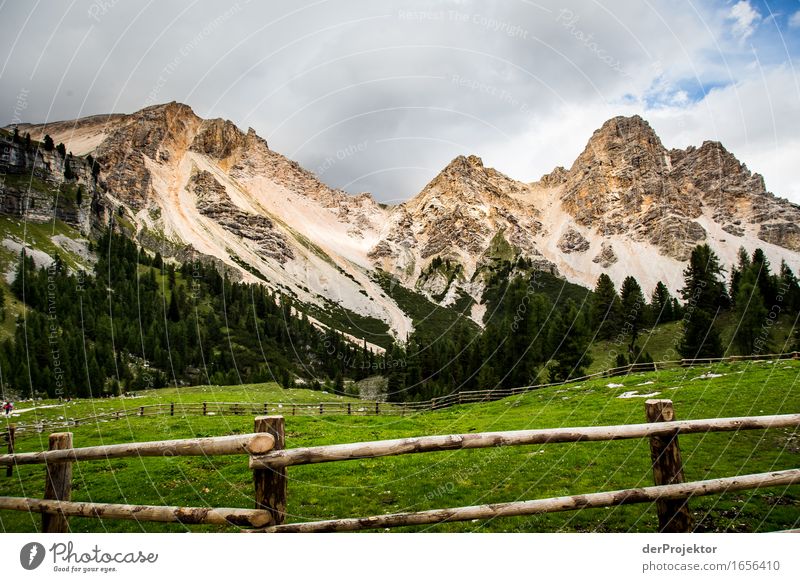 Gezäumtes Panorama Ferien & Urlaub & Reisen Tourismus Ausflug Abenteuer Ferne Freiheit Berge u. Gebirge wandern Umwelt Natur Landschaft Pflanze Tier Wiese