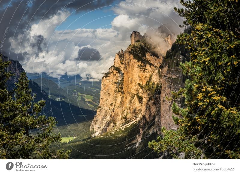 Ein kleiner Lichtblick Ferien & Urlaub & Reisen Tourismus Ausflug Abenteuer Ferne Freiheit Berge u. Gebirge wandern Umwelt Natur Landschaft Pflanze Tier Sommer