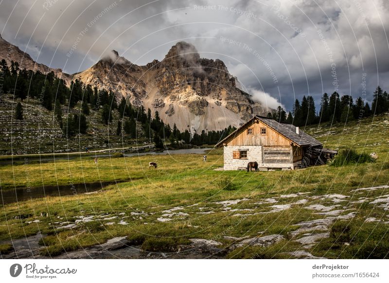 Hütte auf Alm in den Dolomiten Zentralperspektive Starke Tiefenschärfe Sonnenstrahlen Sonnenlicht Lichterscheinung Silhouette Kontrast Schatten Tag