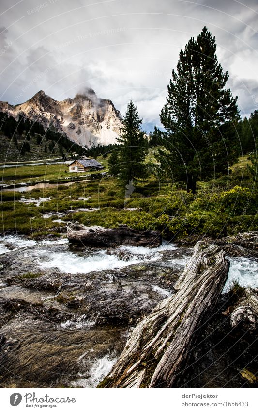 Gewitterstimmung auf der Alm Ferien & Urlaub & Reisen Tourismus Ausflug Abenteuer Ferne Freiheit Berge u. Gebirge wandern Umwelt Natur Landschaft Pflanze Tier