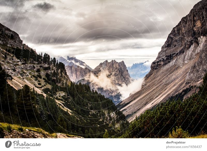 Nebel in den Dolomiten Ferien & Urlaub & Reisen Tourismus Ausflug Abenteuer Ferne Freiheit Berge u. Gebirge wandern Umwelt Natur Landschaft Pflanze Tier Sommer