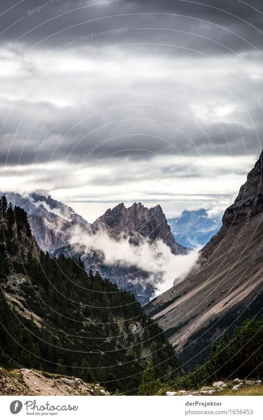 Das Wetter wird nicht besser. Ferien & Urlaub & Reisen Tourismus Ausflug Abenteuer Ferne Freiheit Berge u. Gebirge wandern Umwelt Natur Landschaft Pflanze Tier